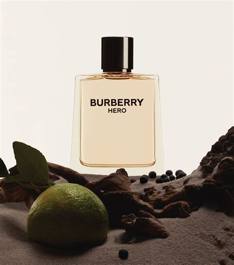 burberry bau de toilette